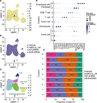 Bcl9 Depletion Modulates Endothelial Cell in Tumor Immune Microenvironment in Colorectal Cancer Tumor